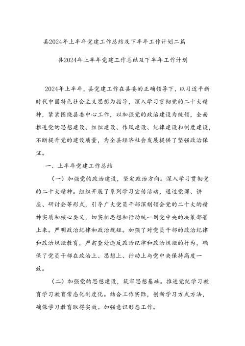 县2024年上半年党建工作总结及下半年工作计划二篇.docx