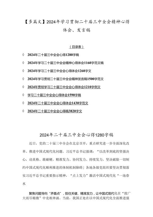【多篇文】2024年学习贯彻二十三中全会精神心得体会、发言稿.docx