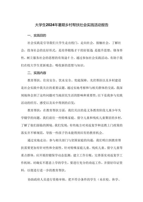 大学生2024年暑期乡村帮扶社会实践活动报告.docx