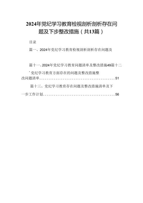 2024年党纪学习教育检视剖析剖析存在问题及下步整改措施13篇（详细版）.docx