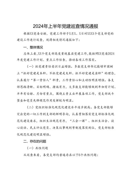 2024年上半年党建巡查情况通报(1).docx