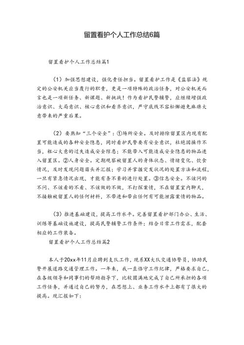留置看护个人工作总结6篇.docx