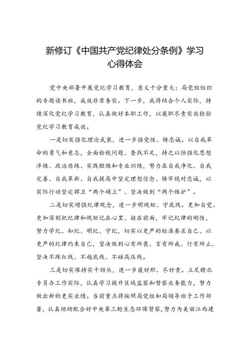 青年党员关于2024年新修订《中国共产党纪律处分条例》学习心得体会二十篇.docx