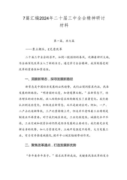 7篇汇编2024年二十三中全会精神研讨材料.docx