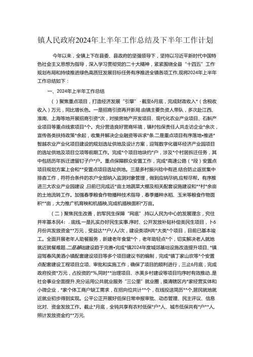 镇人民政府2024年上半年工作总结及下半年工作计划.docx