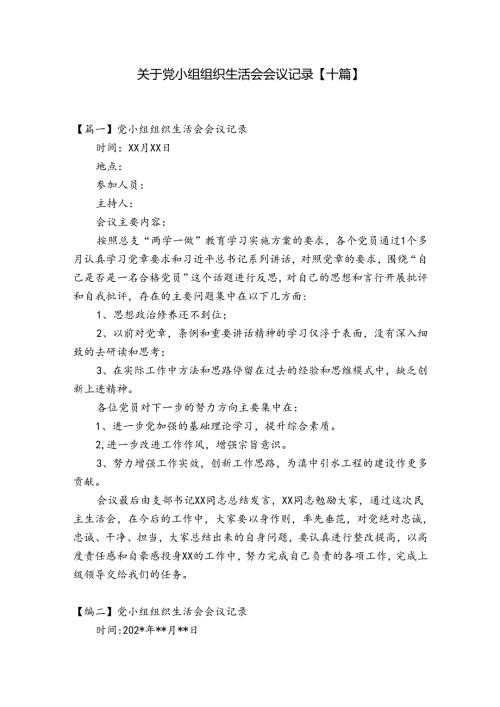 关于党小组组织生活会会议记录【十篇】.docx