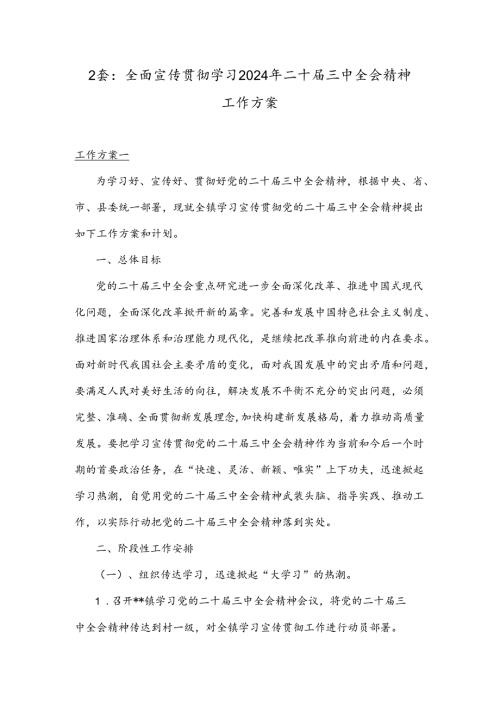 2套：全面宣传贯彻学习2024年二十三中全会精神工作方案.docx