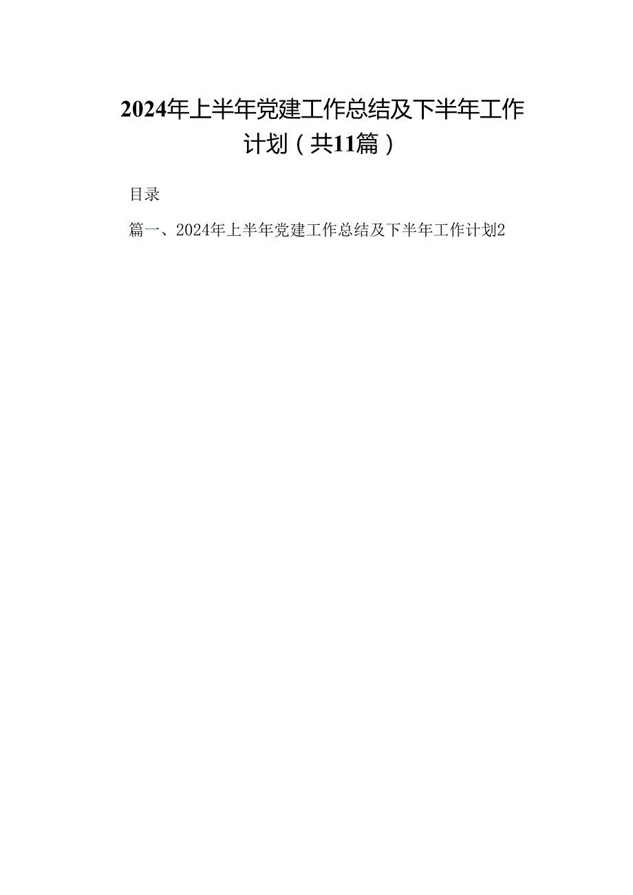 （11篇）2024年上半年党建工作总结及下半年工作计划（详细版）.docx_第1页