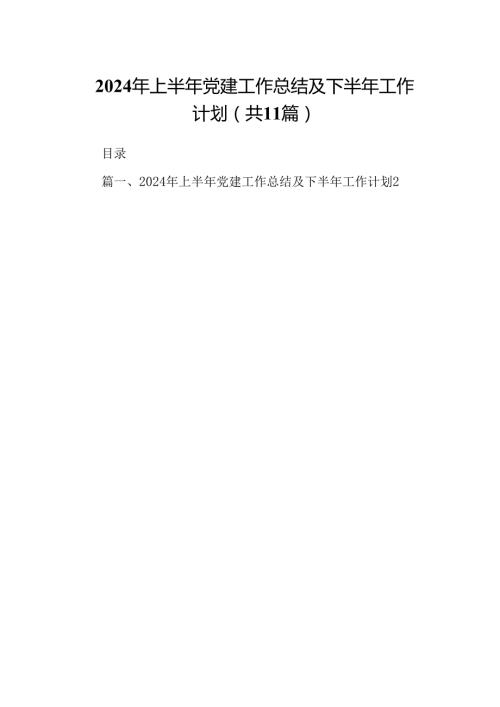 （11篇）2024年上半年党建工作总结及下半年工作计划（详细版）.docx