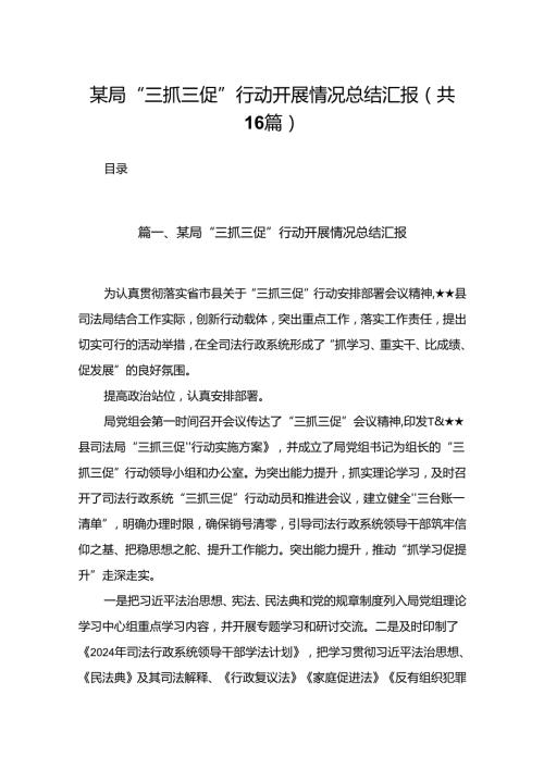 某局“三抓三促”行动开展情况总结汇报范文16篇供参考.docx