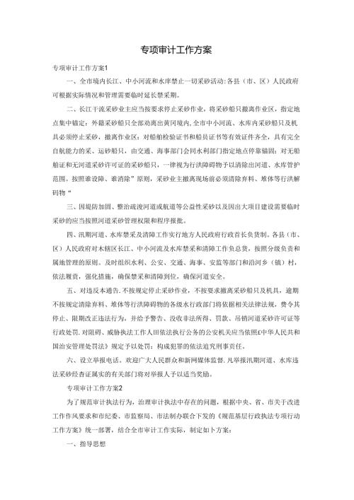 专项审计工作方案.docx