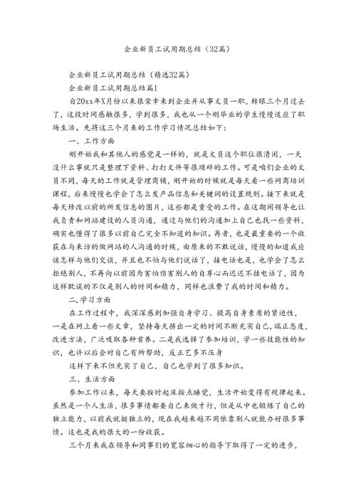 企业新员工试用期总结（32篇）.docx