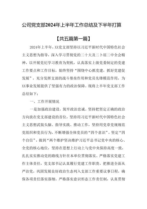 （5篇）公司党支部2024年上半年工作总结及下半年打算.docx