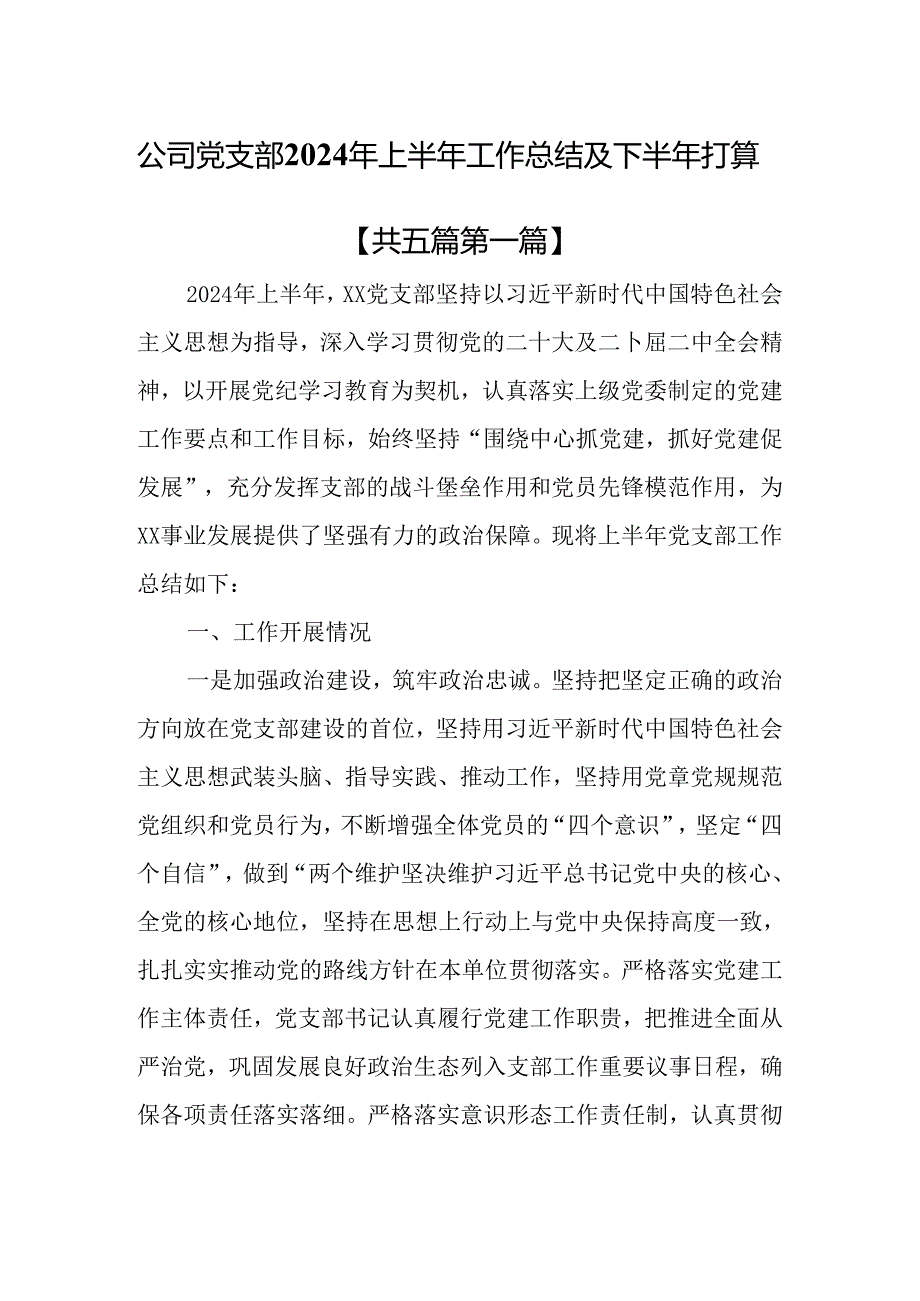 （5篇）公司党支部2024年上半年工作总结及下半年打算.docx_第1页