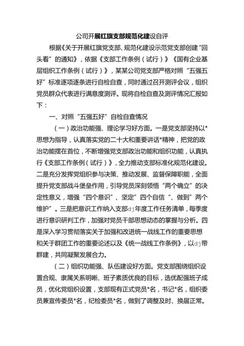 公司开展红旗支部规范化建设自评.docx