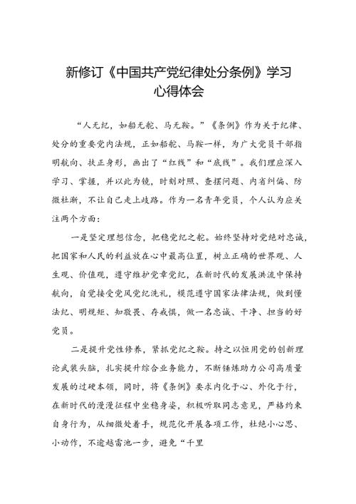 青年党员关于2024年新修订《中国共产党纪律处分条例》学习心得体会七篇.docx