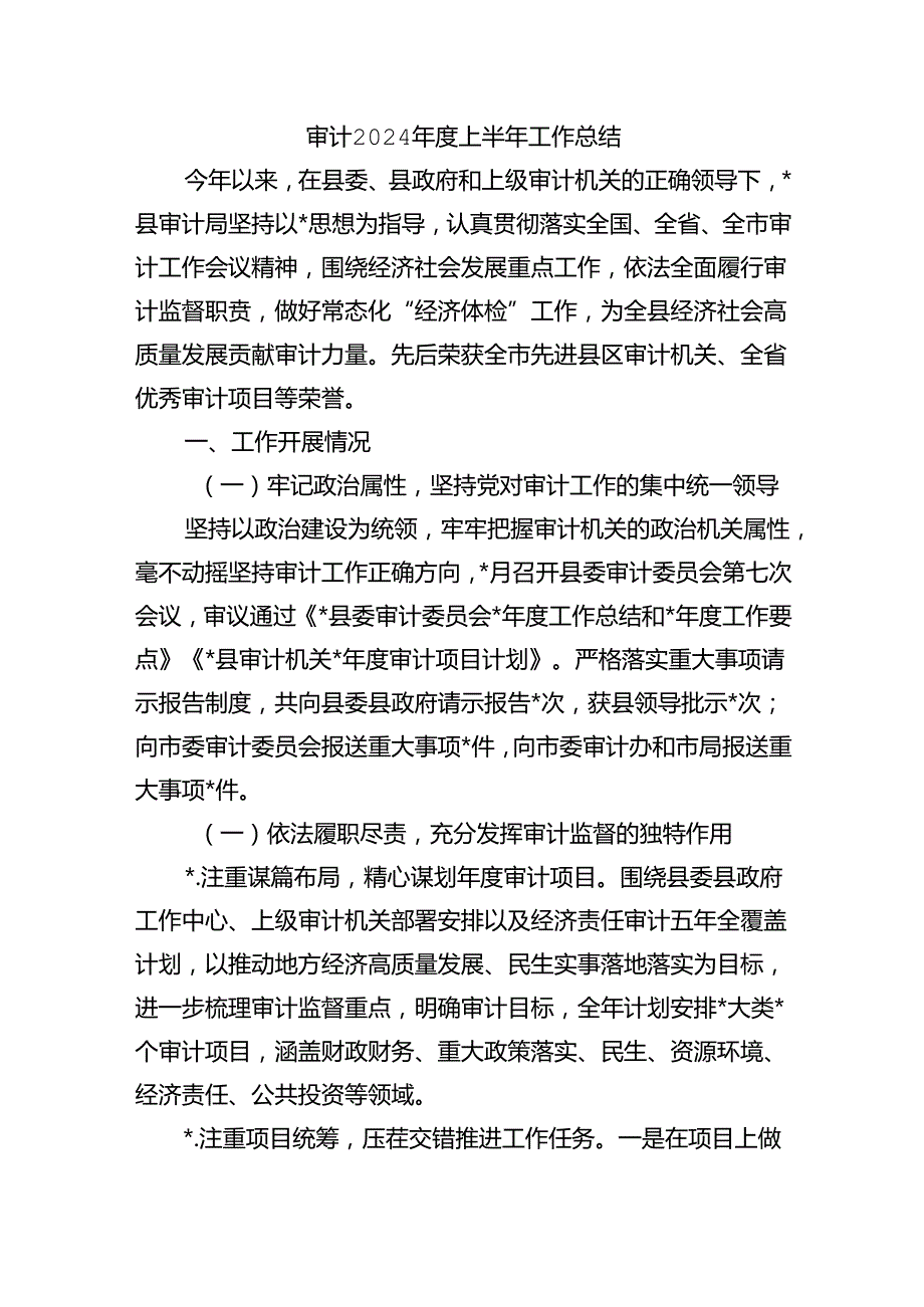审计2024上半年工作总结.docx_第1页