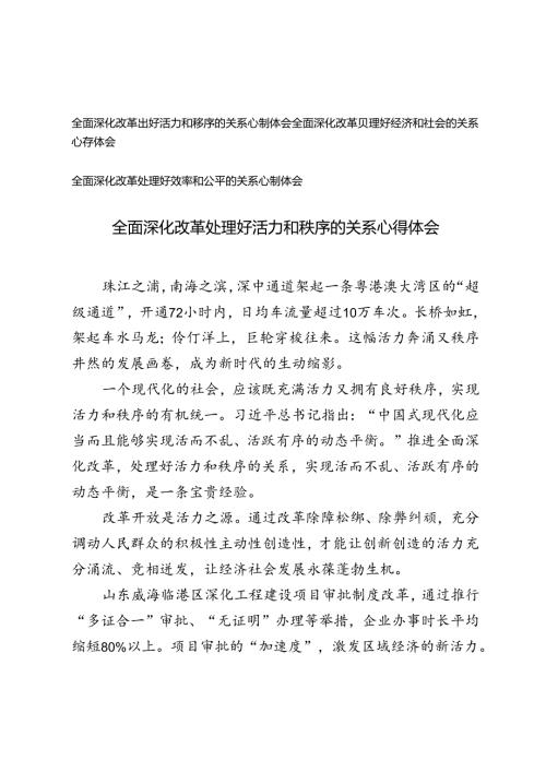 2024年全面深化改革处理好活力和秩序、经济和社会、效率和公平的关系心得体会.docx