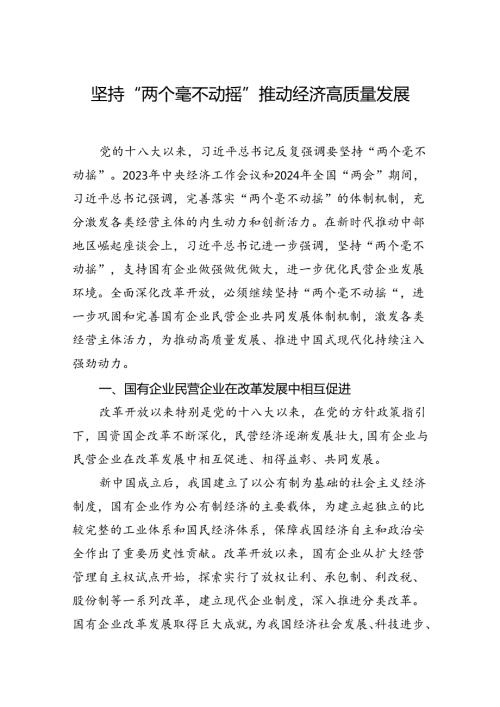 坚持“两个毫不动摇” 推动经济高质量发展.docx