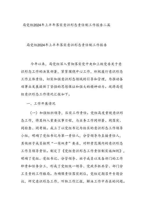局党组2024 年上半年落实意识形态责任制工作报告二篇.docx