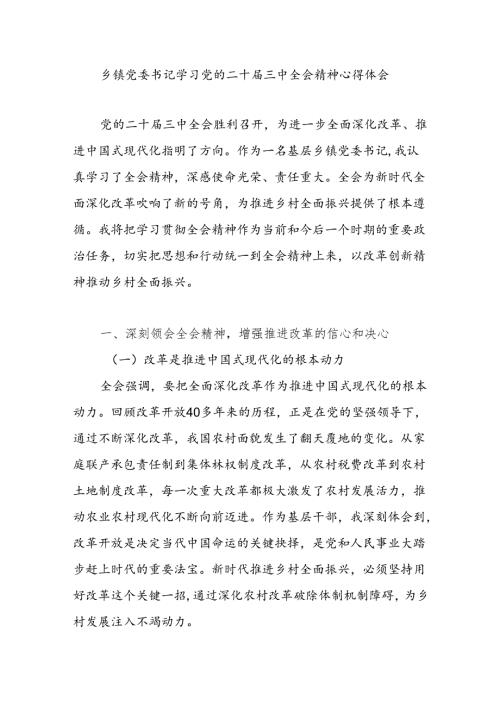 乡镇党委书记学习党的二十三中全会精神心得体会研讨发言.docx