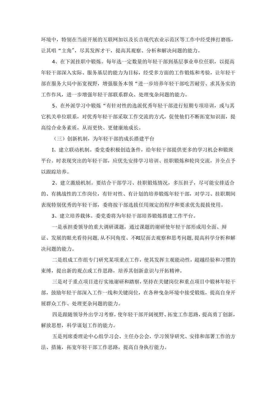 年轻干部培养方案(通用5篇).docx_第3页