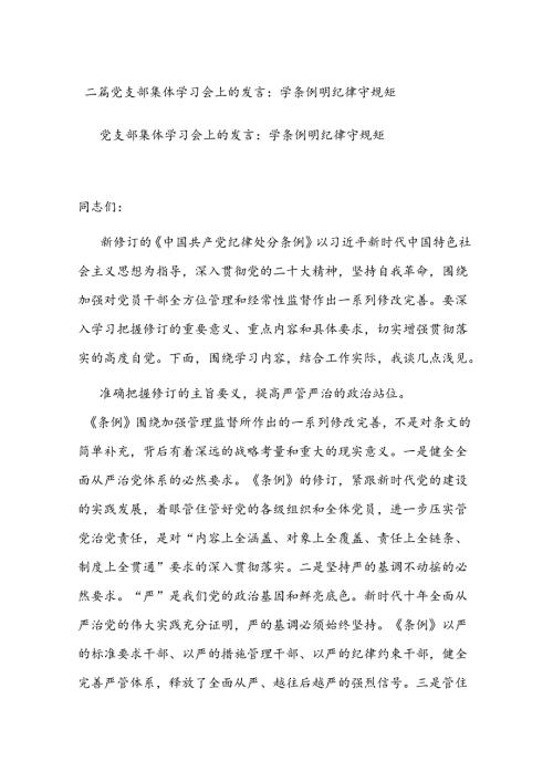 二篇党支部集体学习会上的发言：学条例 明纪律 守规矩.docx