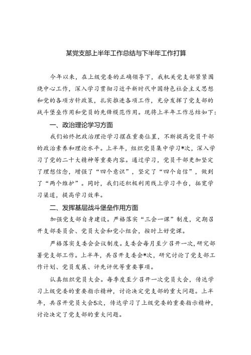 某党支部上半年工作总结与下半年工作打算5篇（精选版）.docx