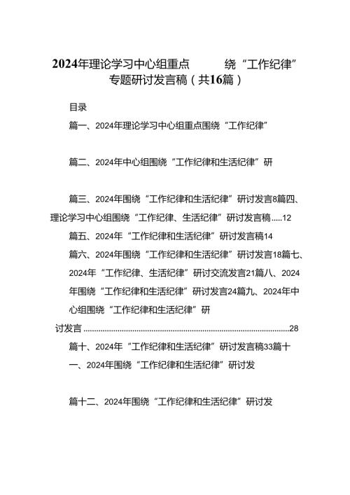2024年理论学习中心组重点围绕“工作纪律”专题研讨发言稿16篇（精选）.docx