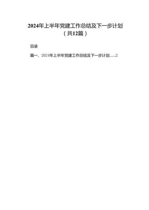 2024年上半年党建工作总结及下一步计划12篇供参考.docx