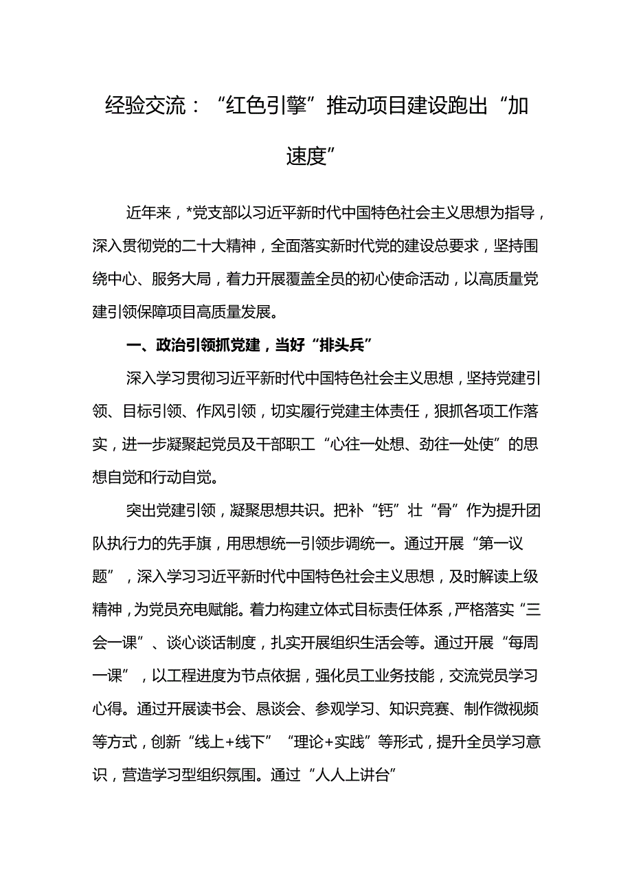 经验交流：“红色引擎”推动项目建设跑出“加速度”.docx_第1页
