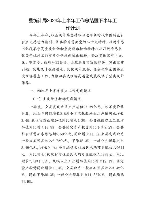 县统计局2024年上半年工作总结暨下半年工作计划2.docx
