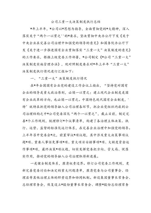 公司三重一大决策制度执行总结.docx
