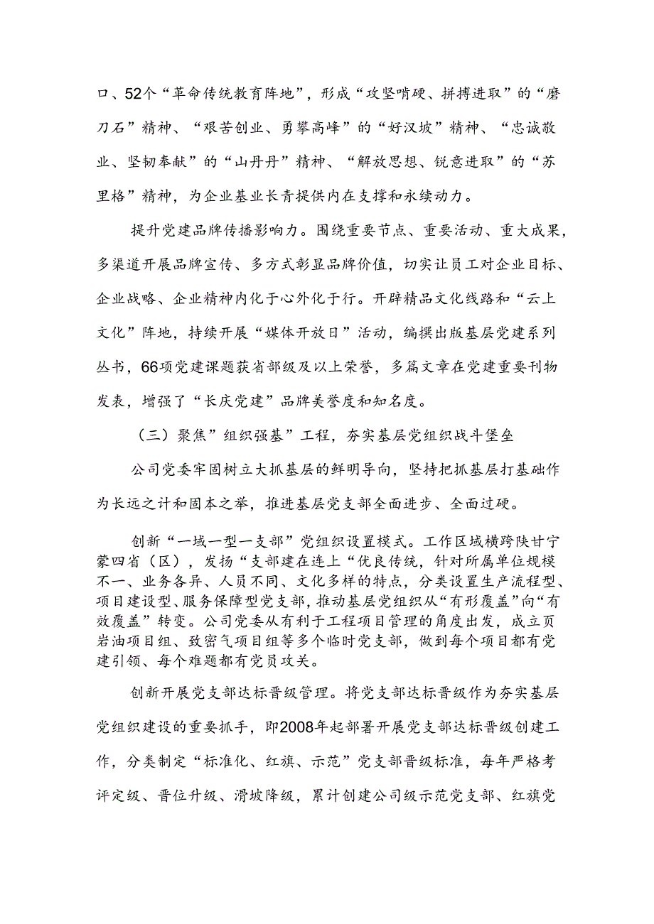 经验交流：党建引领聚合力 共绘发展“新图景”(1).docx_第3页