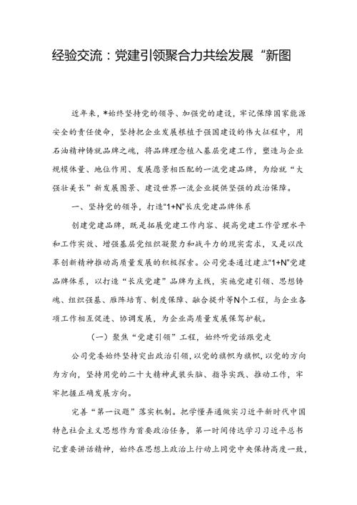 经验交流：党建引领聚合力 共绘发展“新图景”(1).docx