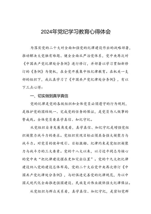 2024年党纪学习教育六项纪律研讨发言学习体会九篇.docx