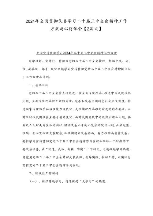 2024年全面贯彻认真学习二十三中全会精神工作方案与心得体会【2篇文】.docx