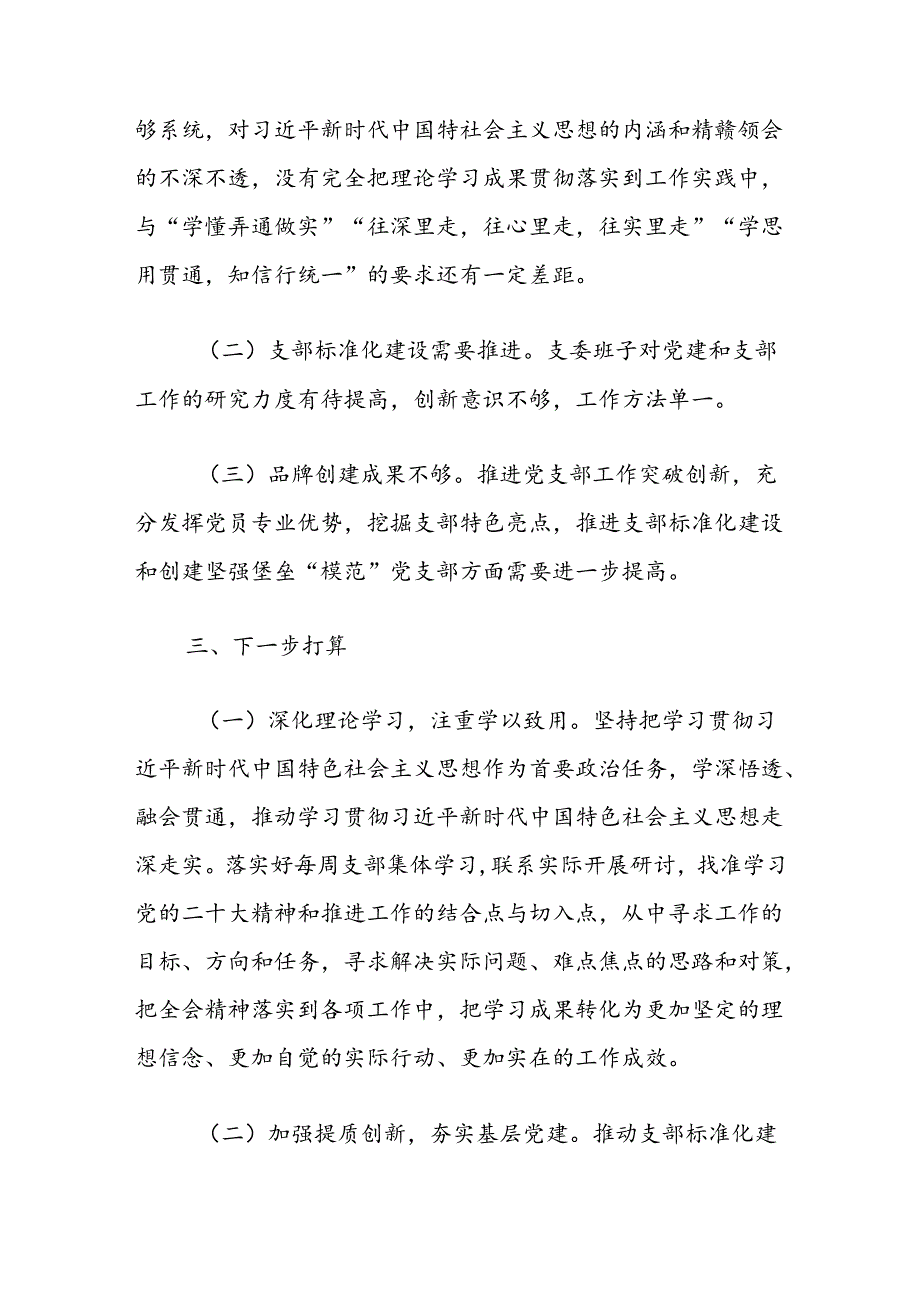 2024党支部书记抓基层党建工作述职报告 (2).docx_第3页
