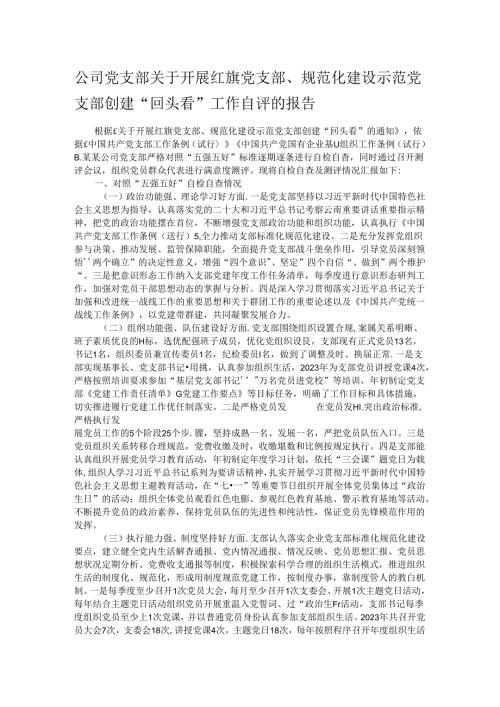 公司党支部关于开展红旗党支部、规范化建设示范党支部创建“回头看”工作自评的报告(1).docx