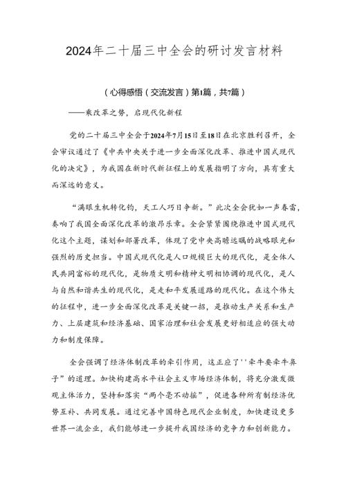 2024年二十三中全会的研讨发言材料.docx