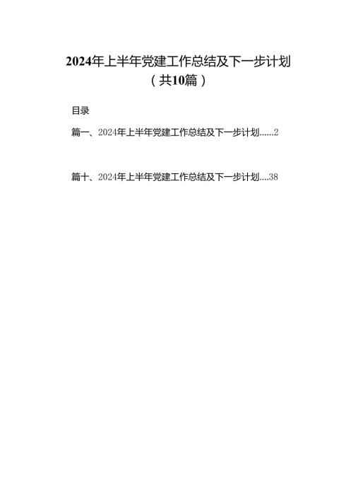 2024年上半年党建工作总结及下一步计划10篇（精选版）.docx