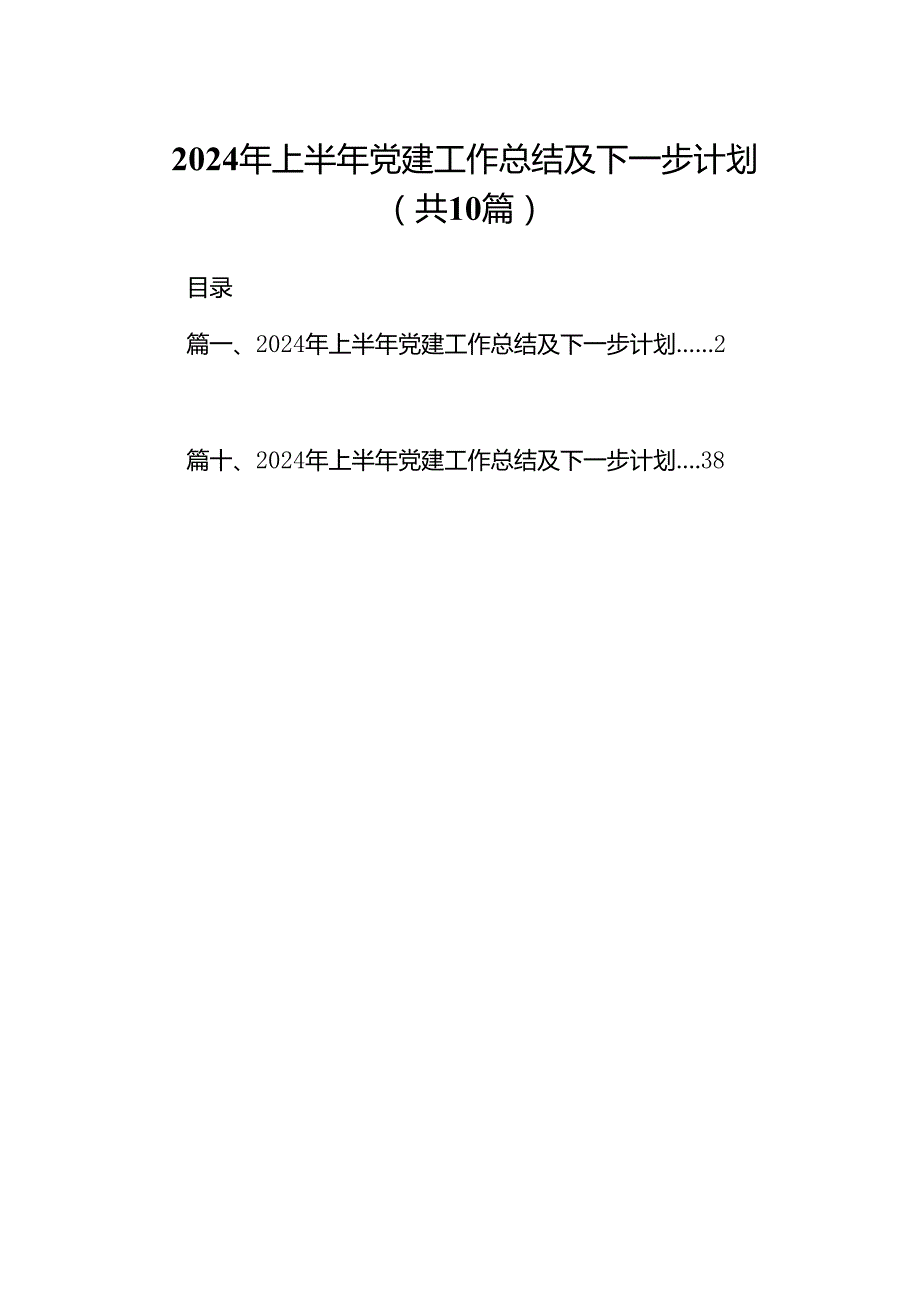 2024年上半年党建工作总结及下一步计划10篇（精选版）.docx_第1页