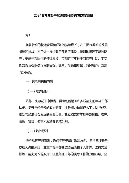 2024某市年轻干部培养计划的实施方案两篇.docx