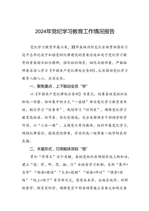 扎实推进党纪学习教育走实走深情况报告八篇.docx