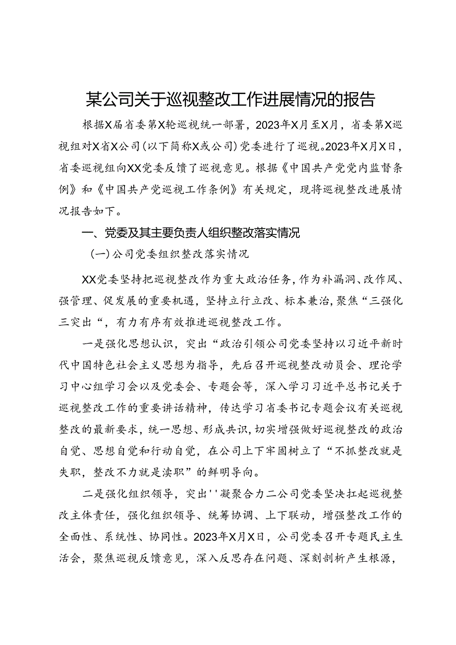某公司关于巡视整改工作进展情况的报告.docx_第1页
