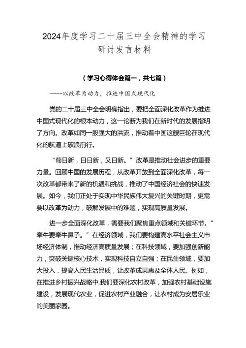2024学习二十三中全会精神的学习研讨发言材料.docx