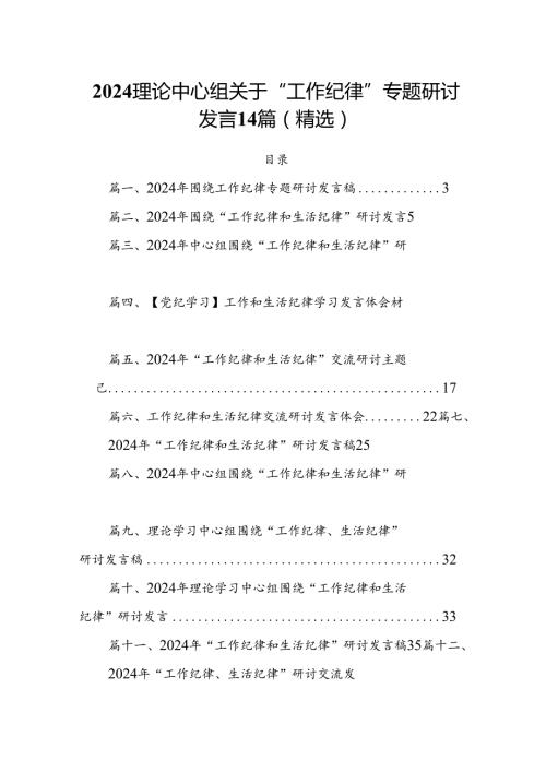 2024理论中心组关于“工作纪律”专题研讨发言14篇（精选）.docx