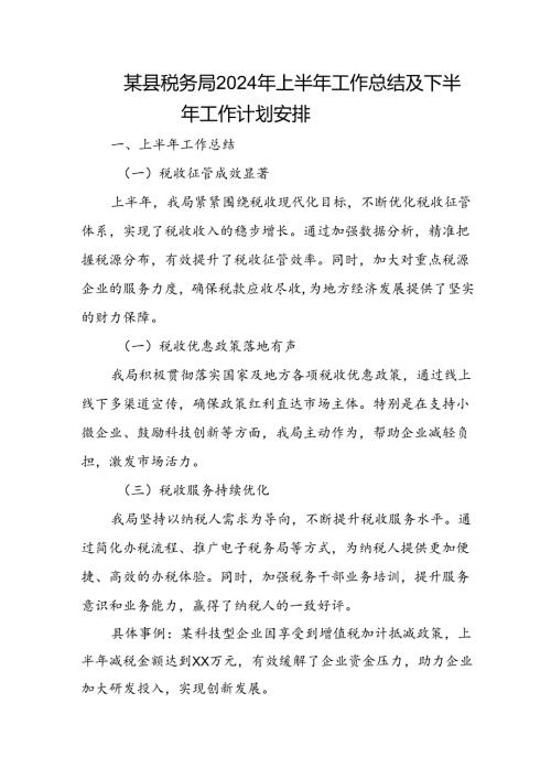 某县税务局2024年上半年工作总结及下半年工作计划安排.docx