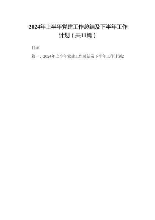 （11篇）2024年上半年党建工作总结及下半年工作计划范文.docx