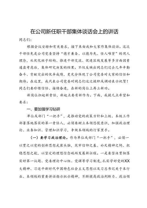 在公司新任职干部集体谈话会上的讲话.docx